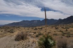 Rastplatz bei Las Cruces