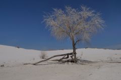 45 White Sand National Monument