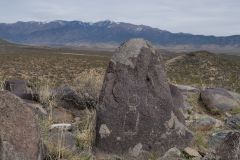 Three Rivers Petroglyph Site