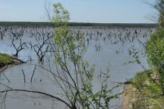 Yarbrough Lake