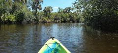 Myakka River