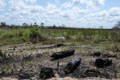 Big Cypress National Preserve