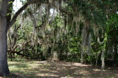 Clay Island Trailhead