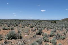 Navajo Land