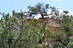 Navajo National Monument