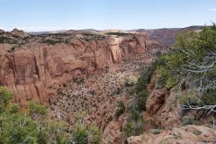 Navajo National Monument