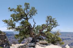 Grand Canyon North Rim