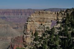 Grand Canyon Angels Window