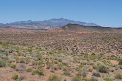 Snow Canyon State Park