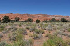 Snow Canyon State Park