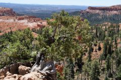 Bryce Canyon