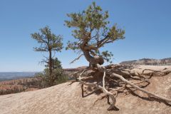 Bryce Canyon