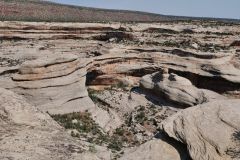 Natural Bridges National Park