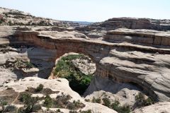 Sipapu Natural Bridges National Park