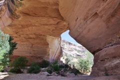 Kachina Natural Bridges National Park