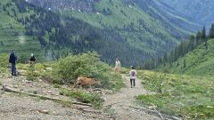 Glacier National Park