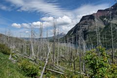 Glacier National Park