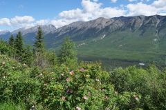 Kootenay NP