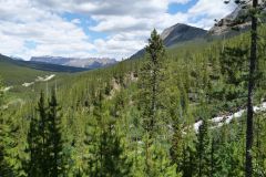 Kootenay NP Stanley Glacier Trail