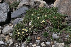 Kootenay NP Stanley Glacier Trail