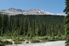 Yoho NP