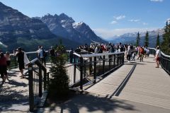 Icefields Parkway Peyto Lake Viewpoint