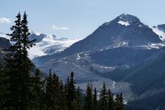 Icefields Parkway Peyto Glacier