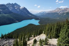 Icefields Parkway Peyto Lake