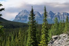 Icefields Parkway