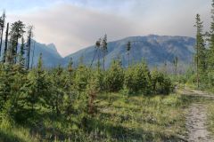 Nähe Icefields Parkway