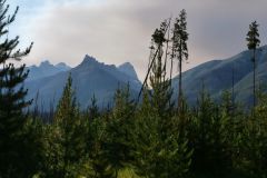 Nähe Icefields Parkway