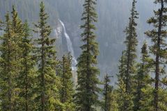 Icefields Parkway Bridal Veil Falls