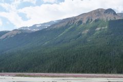 Icefields Parkway Sunwapta River