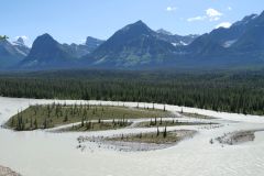 Icefields Parkway Athabasca River