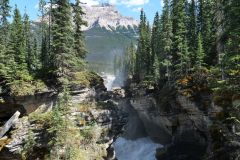 Icefields Parkway Athabasca Falls