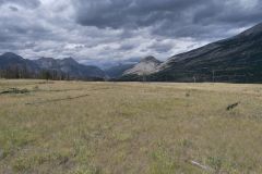 Yellowhead Highway