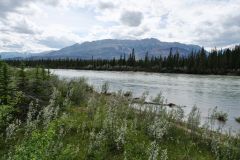 Yellowhead Highway Athabasca River