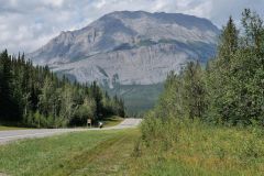 Alaska Hwy