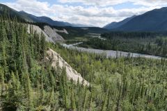 Trout River Mineral Lick