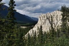 Trout River Mineral Lick