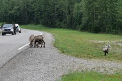 Alaska Hwy