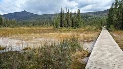 Liard River Hot Springs