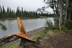 South Canol Road Nisutlin River