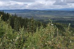 Klondike Hwy Tintina Trench