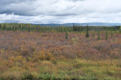 Klondike Hwy