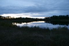 Athabasca River Abendstimmung