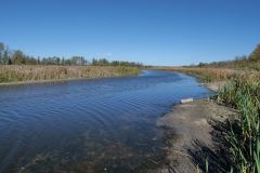 Narrows Provincial Recreation Area