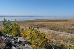 Freezout Lake