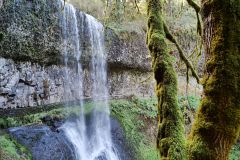 Silver Falls Park