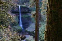 Silver Falls Park